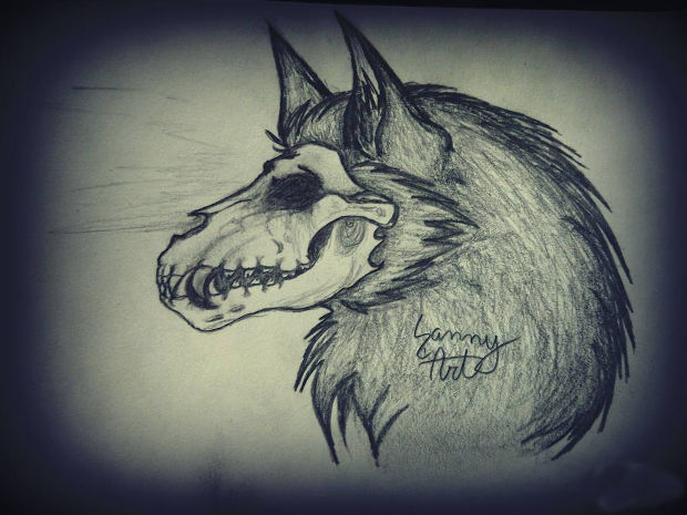 620x465 Skull Drawings, Art Ideas Design Trends