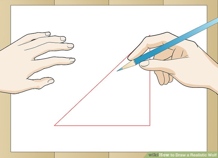 728x529 How To Draw A Realistic Wolf (With Pictures)