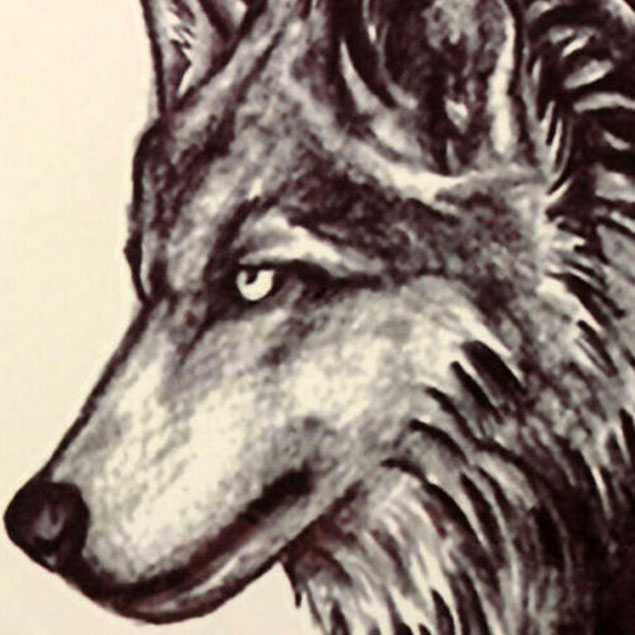635x635 Proud Lonely Wolf Black Realistic Drawing Tribal Temporary