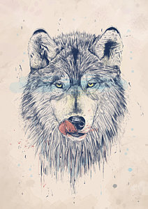 212x300 Wolf Drawings Fine Art America