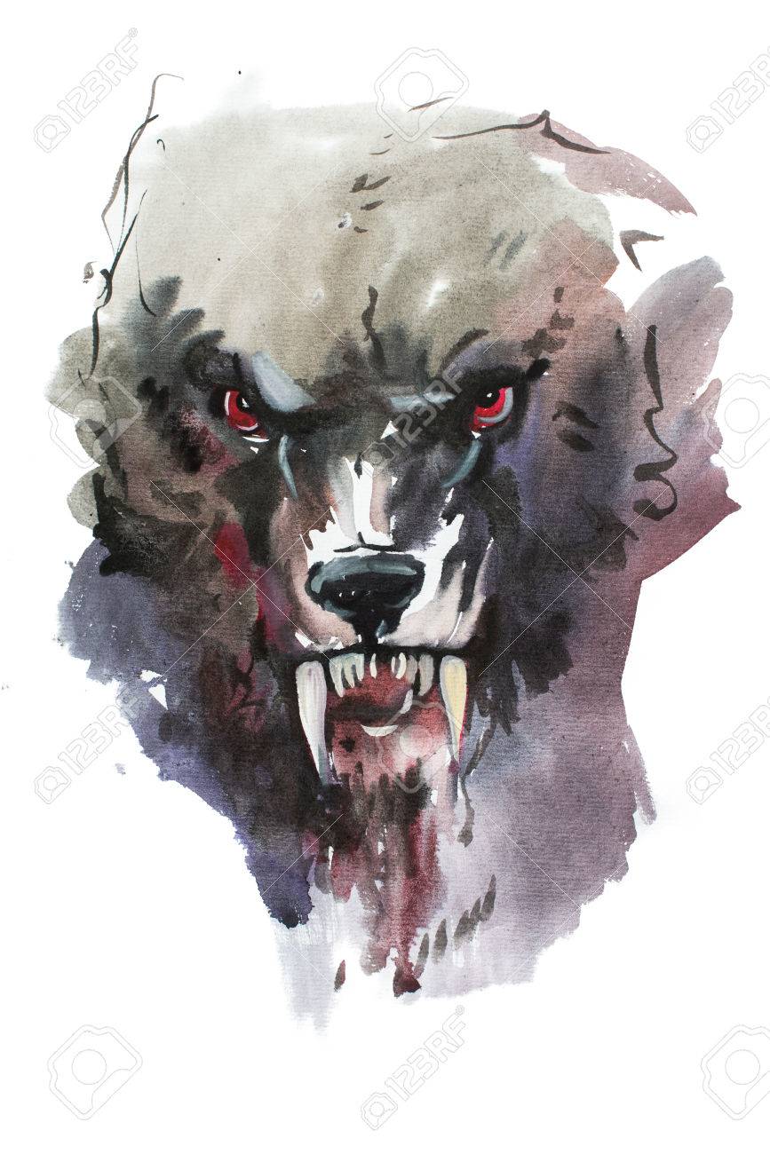 867x1300 Watercolor Drawing Of Black Angry Looking Wolf. Animal Portrait