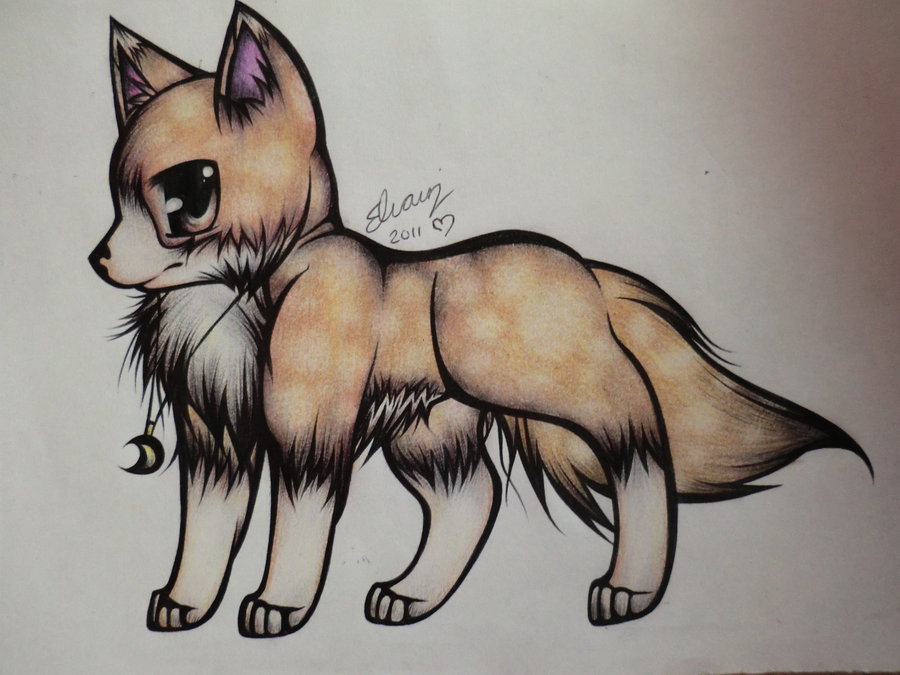 900x675 Wolf Drawing 11 By Animefan1863 On Drawings