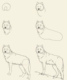 236x281 How To Draw Wolves How To Draw A Cartoon Wolf By