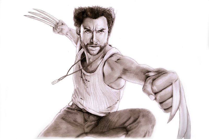 800x532 New Drawing Wolverine