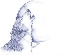 239x211 Risultati Immagini Per Wolves Drawings Wolves Wolf
