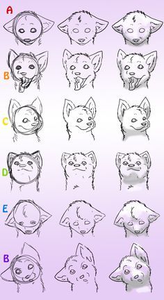 Wolves For Beginners Drawing at GetDrawings | Free download