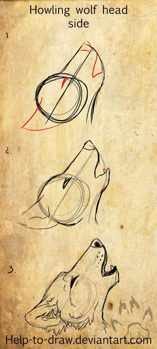 510x1136 Howling Canine Side View (Step Design Ideas) Art