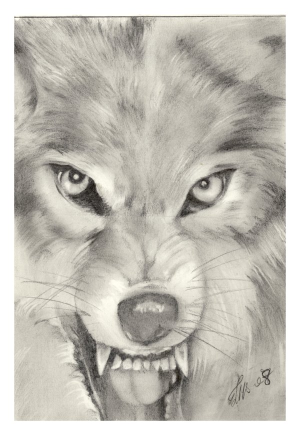 Wolves In Pencil Drawing at GetDrawings | Free download