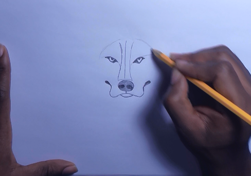 488x343 How To Draw A Wolf Step By Step How To Draw Faster