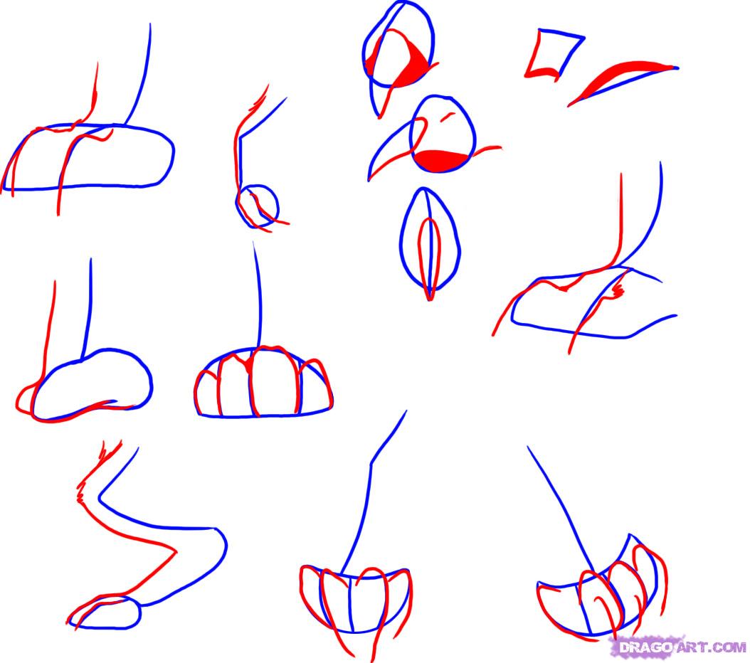 1054x932 How To Draw An Angry Wolf Step By Step Forest Animals Animals Free