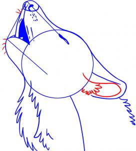 272x302 How To Draw A Howling Wolf Step 5 Drawing References