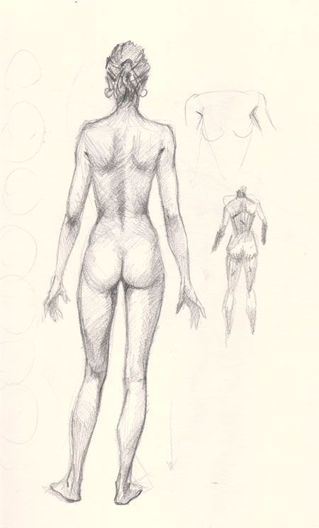 450x743 Resultado De Imagem Para Draw Woman Body Artsy