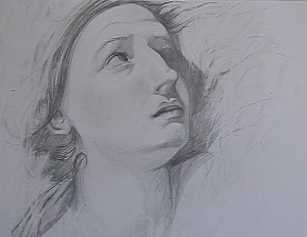 602x465 Study Of Woman's Face Drawing By Jenny Abshier