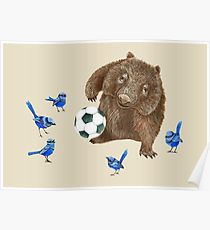 210x230 Wombat Drawing Posters Redbubble