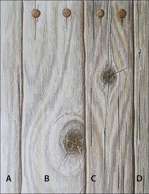 500x652 How To Draw Realistic Wood Grain Details With Colored Pencils