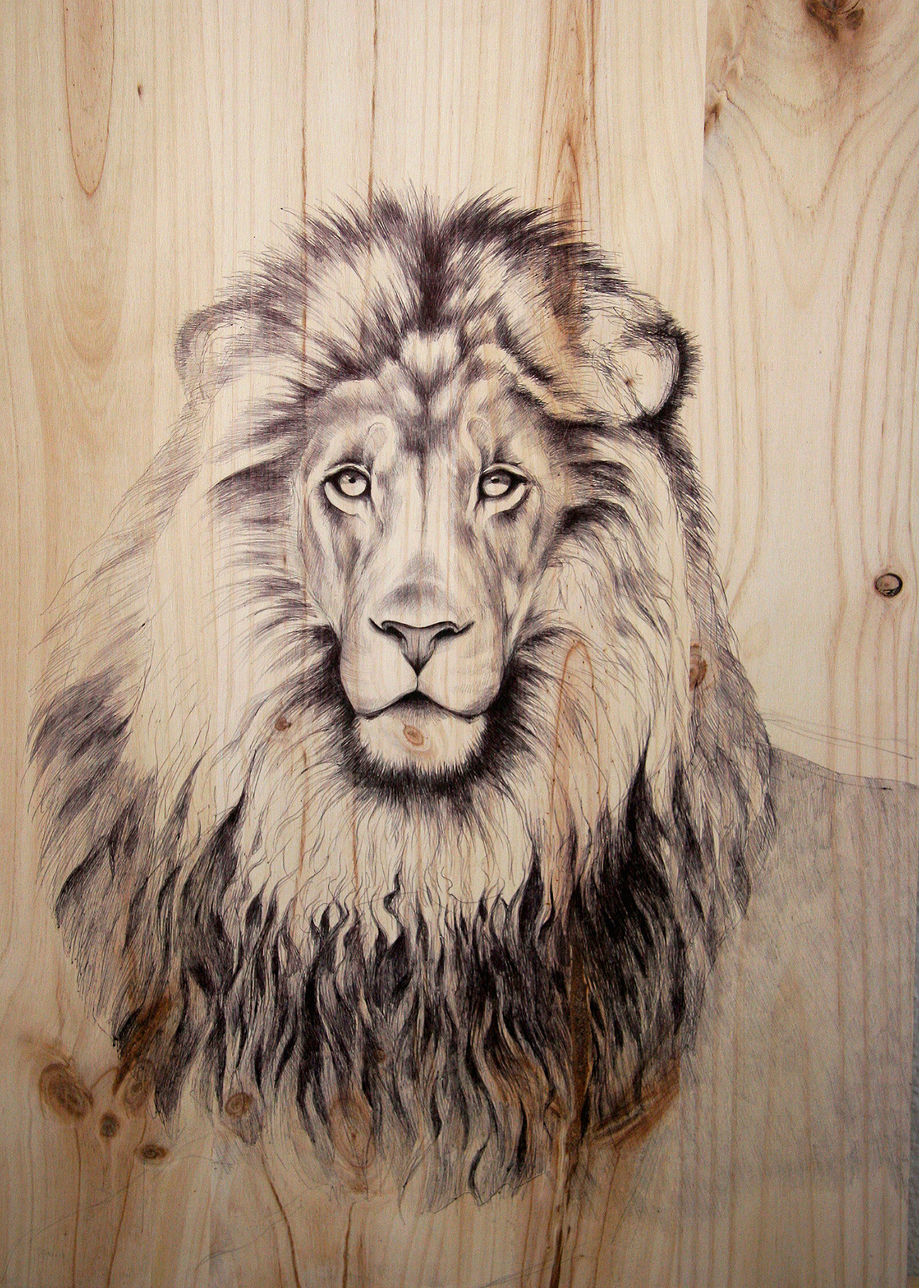 1300x1822 Martina Billi