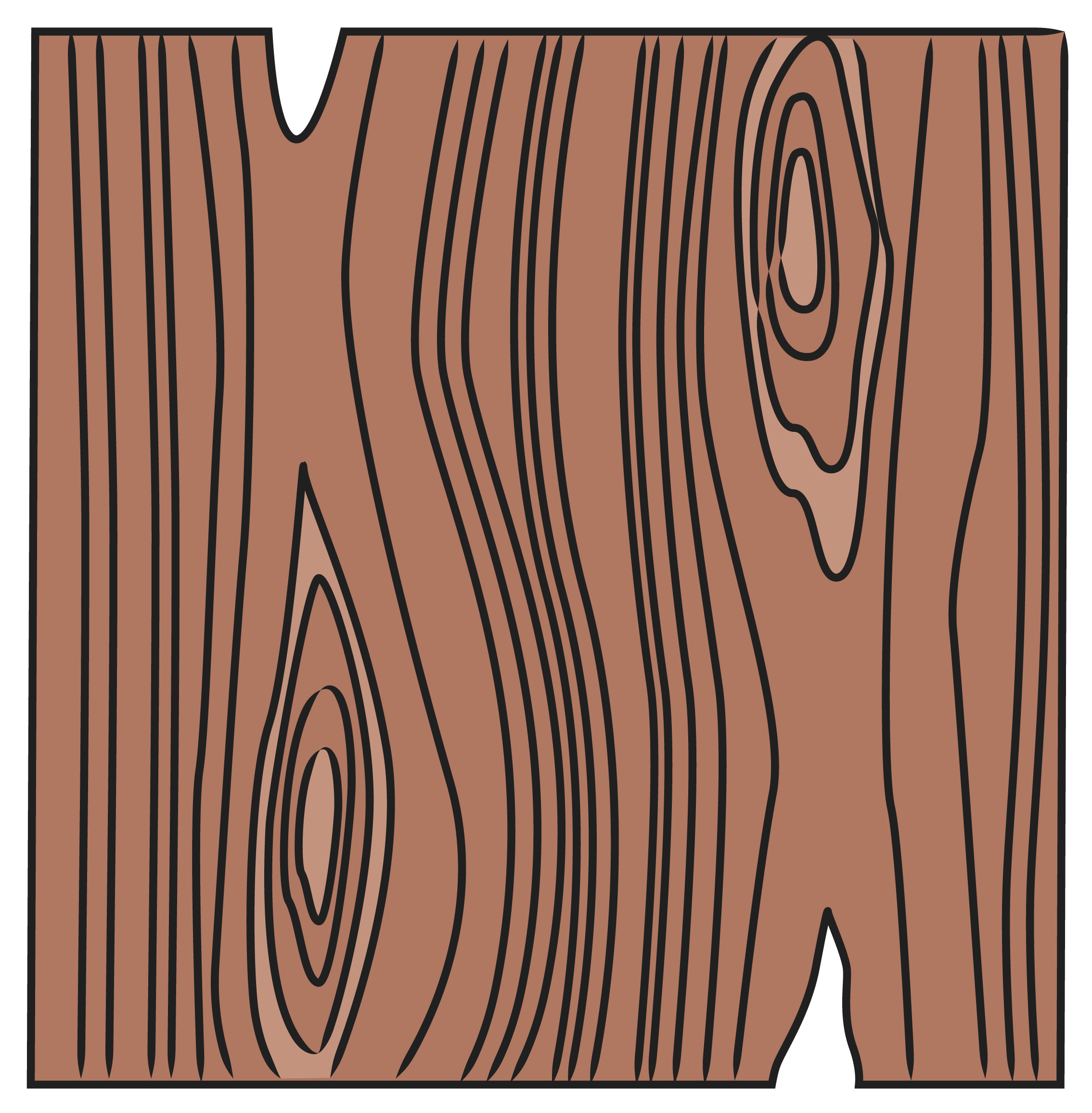 Wood Grain Drawing at Free for personal