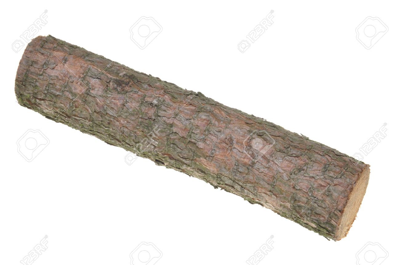 1300x863 Photos Log,