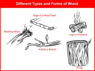 302x227 How To Draw How To Draw Wood