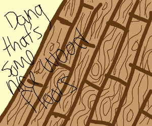 300x250 Hardwood Floor