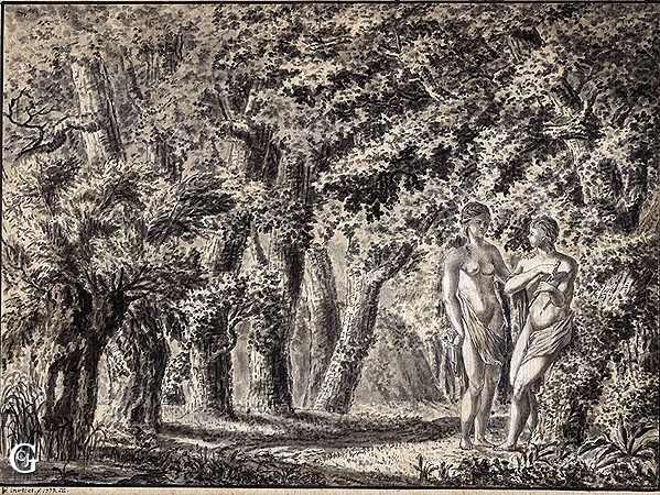 599x450 Vh , Woodland Grove