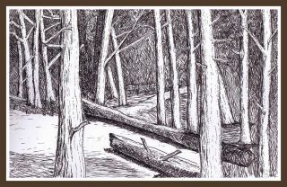 Woodland Drawing at GetDrawings | Free download