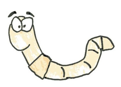 391x281 Worm,