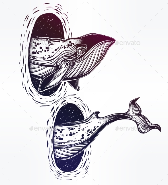 590x649 Surreal Whale And The Magic Teleport Wormhole Teleportation