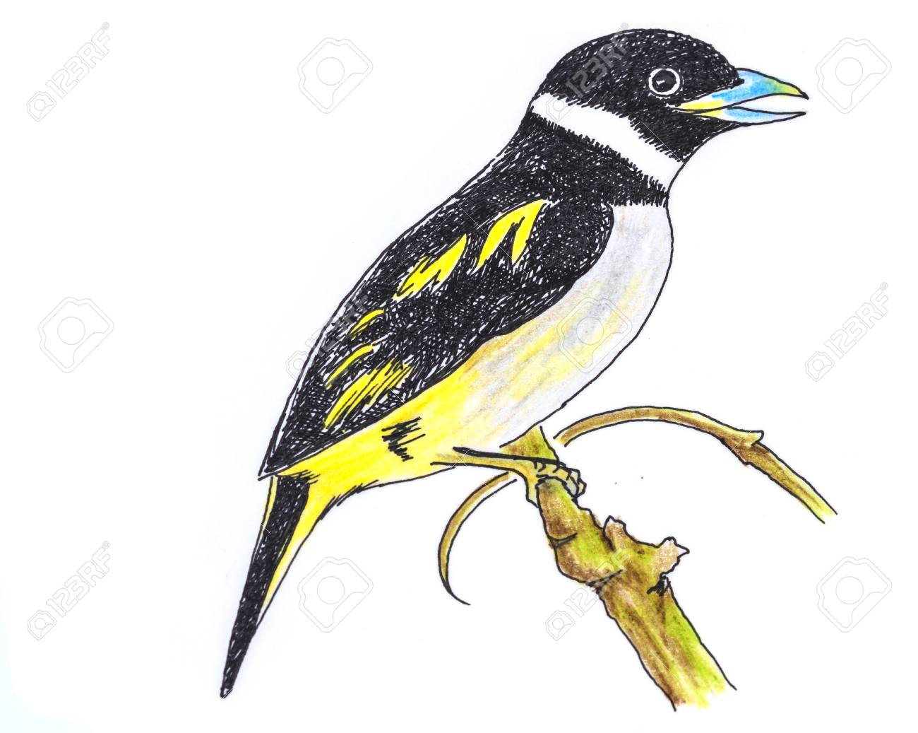 1300x1037 The Original Drawing Of Birds On White Paper, Black And Yellow