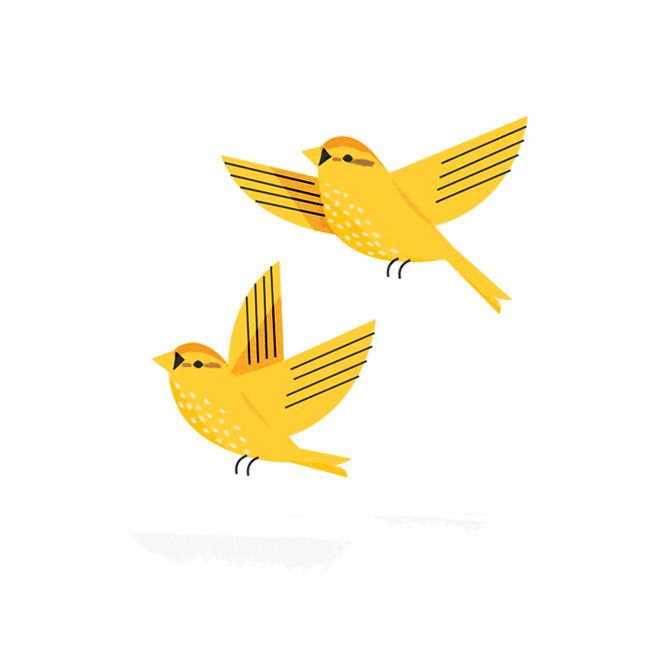 650x650 Yellow Birds Illustrated By Sarah Abbott I