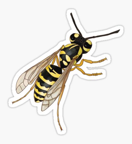 420x460 Yellow Jacket Vespula Maculifrons Sticker Hornet, Wasp, Drawing
