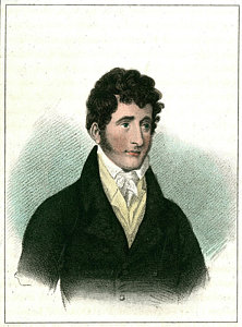 222x300 Yellow Jacket Drawings Fine Art America