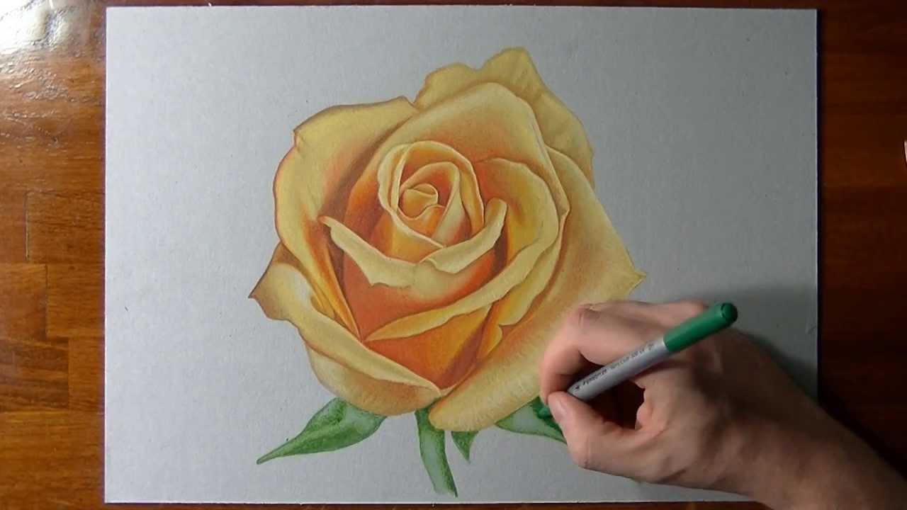 1280x720 How To Draw A Yellow Rose