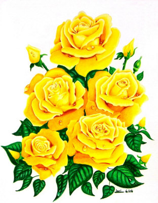312x400 Raindrops Series 3 Yellow Roses Drawing