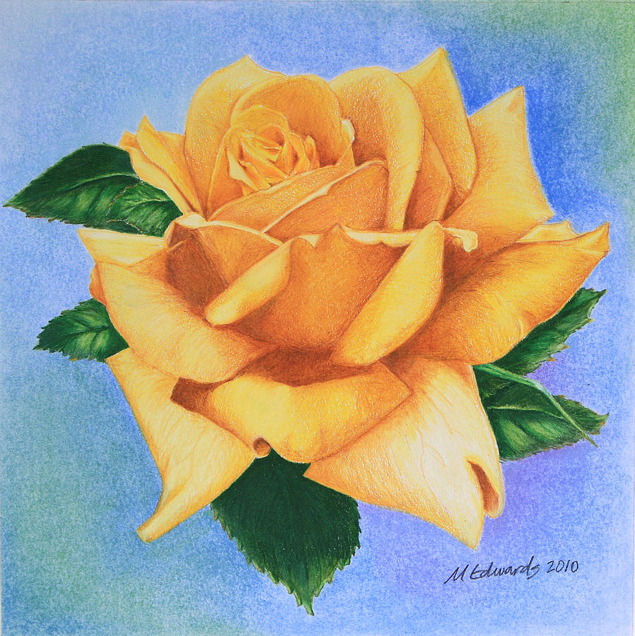 898x900 Yellow Rose Drawing By Marna Edwards Flavell