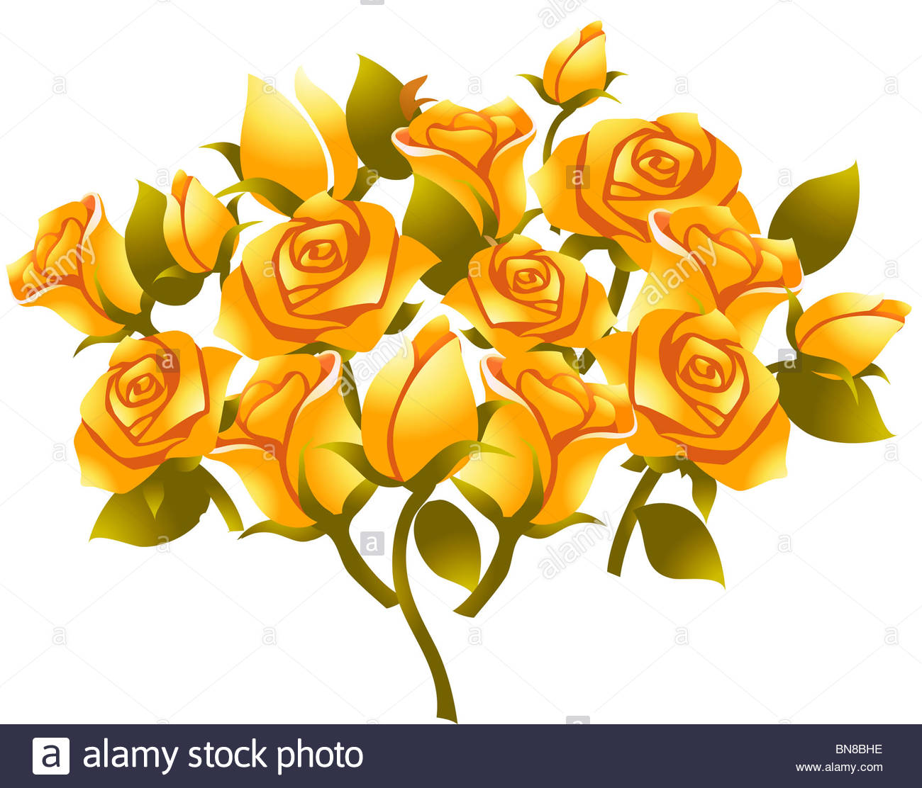 1300x1112 Illustration Drawing Of Yellow Rose Flower In White Background