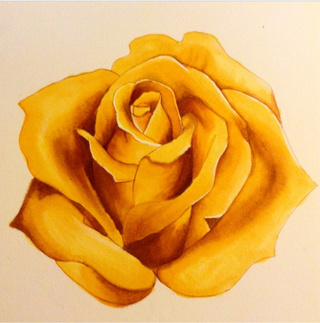 320x323 Yellowrose Drawings On Paigeeworld. Pictures Of Yellowrose