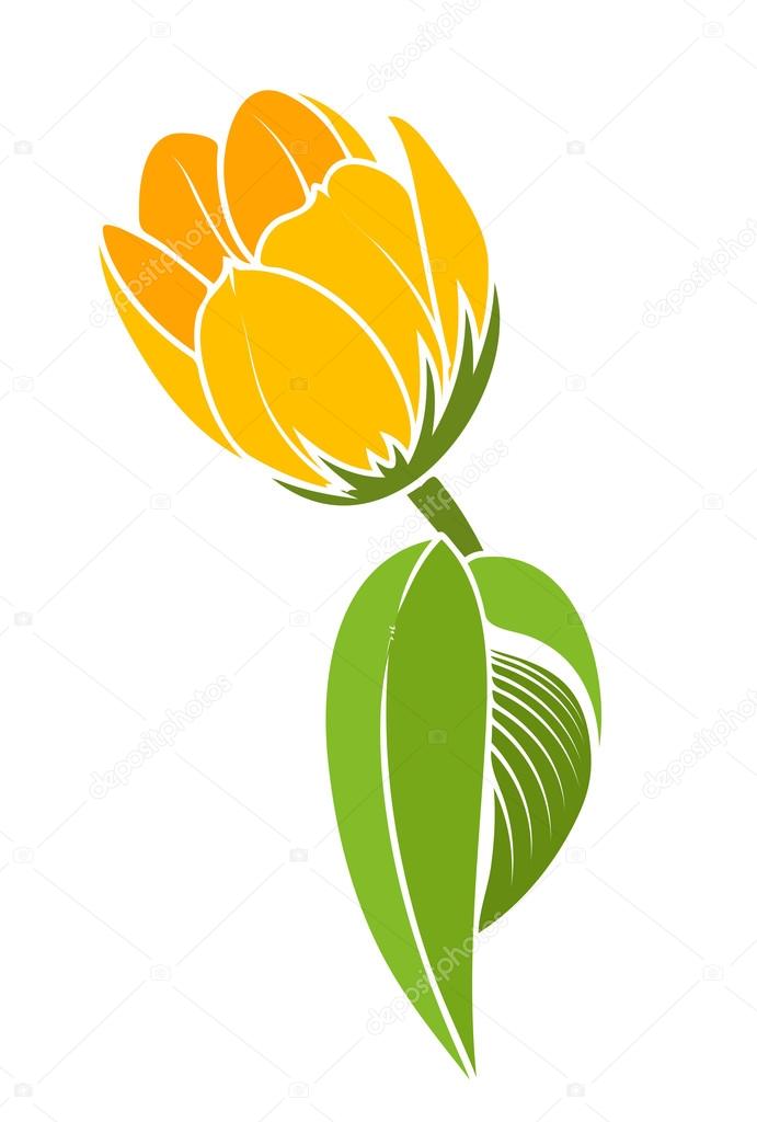 Yellow Tulip Drawing at GetDrawings | Free download