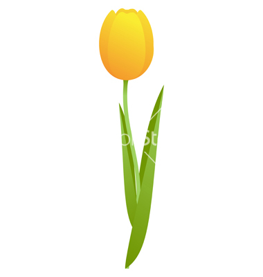380x400 Yellow Tulip Drawing Tattoos Yellow Tulips And Tattoo
