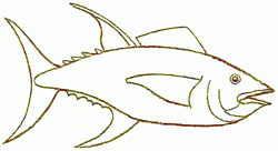 250x136 Exam Guide Online