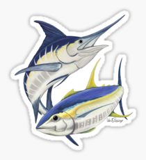 210x230 Yellowfin Tuna Drawing Stickers Redbubble