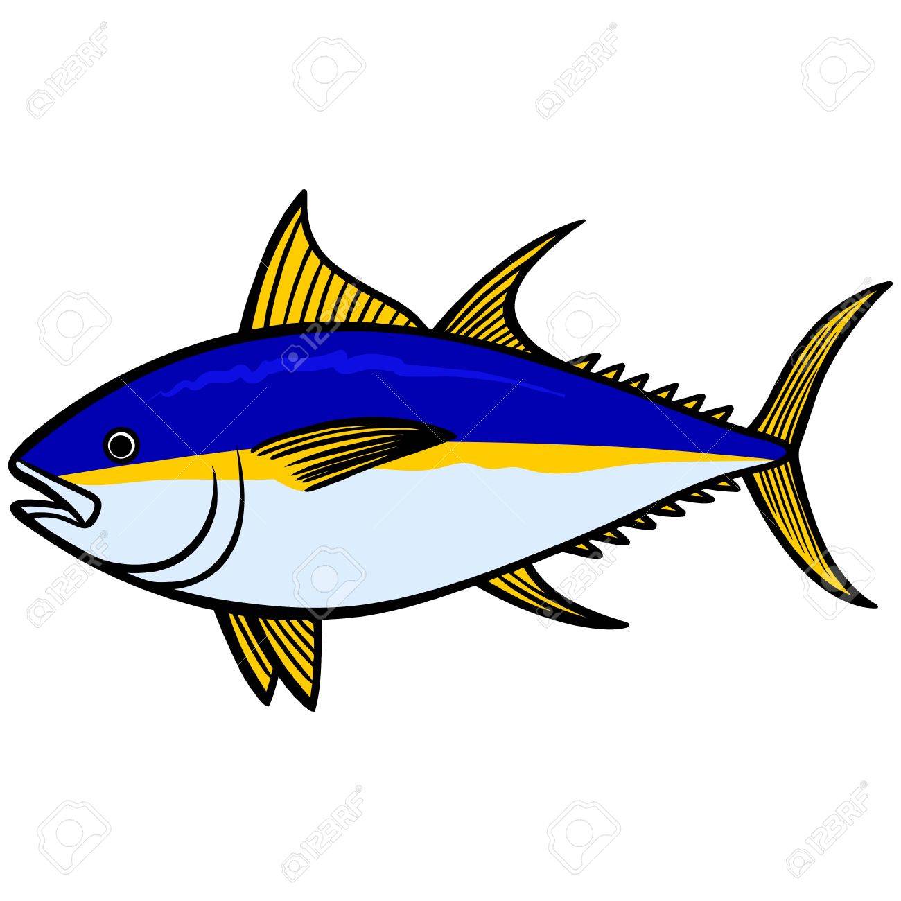 1300x1300 Yellowfin Tuna Royalty Free Cliparts, Vectors, And Stock