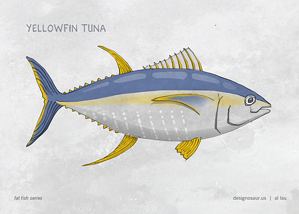 600x429 Yellowfin Blog.designosaur.us