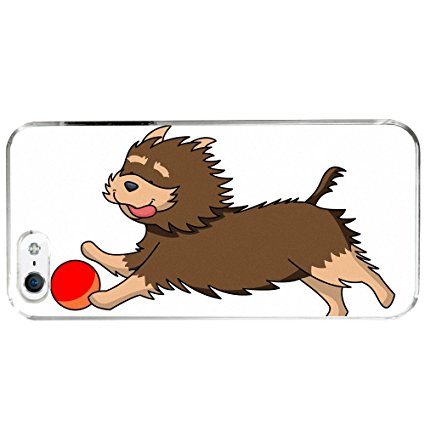 425x425 Image Of Yorkie Playing With Favorite Ball Toy Dog