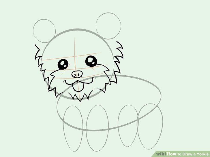 728x546 How To Draw A Yorkie (With Pictures)