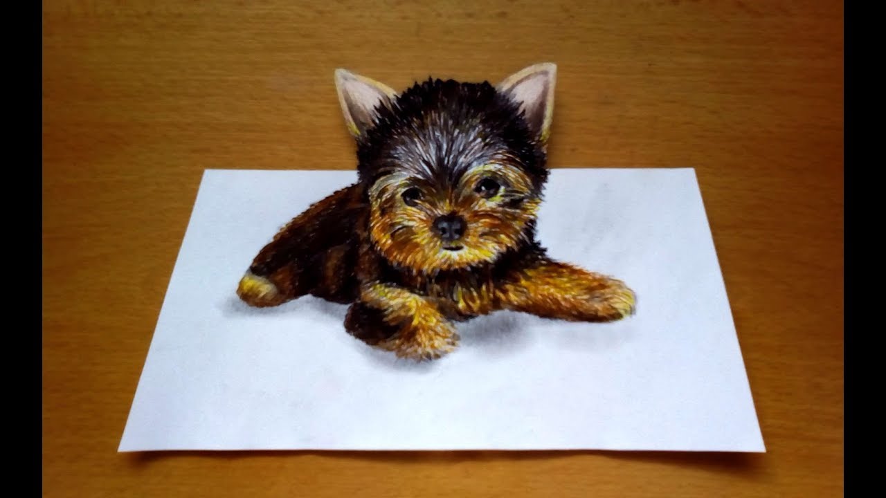1280x720 3d Drawing Yorkshire Terrier