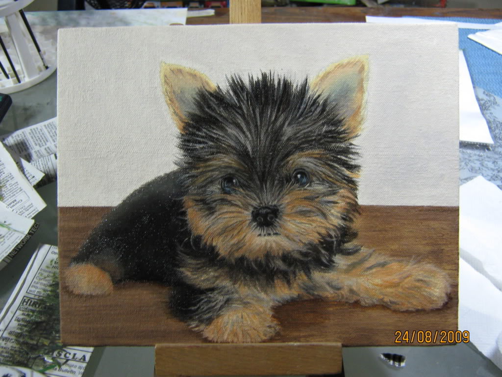 1024x768 Wildlife Art By Eunice Yap Yorkshire Terrier