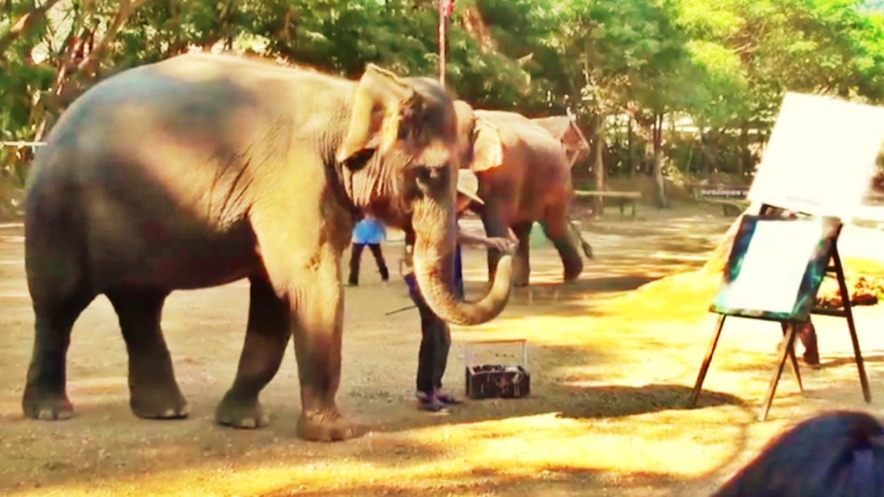 1280x720 Original) Elephant Paints Self Portrait