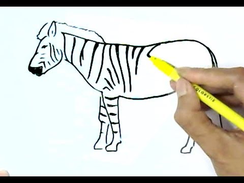 480x360 How To Draw A Zebra In Easy Steps, Step By Step For Children, Kids