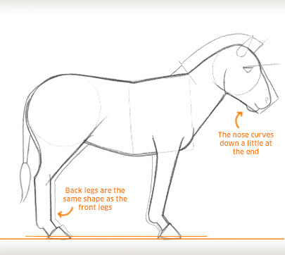 405x362 Draw A Zebra